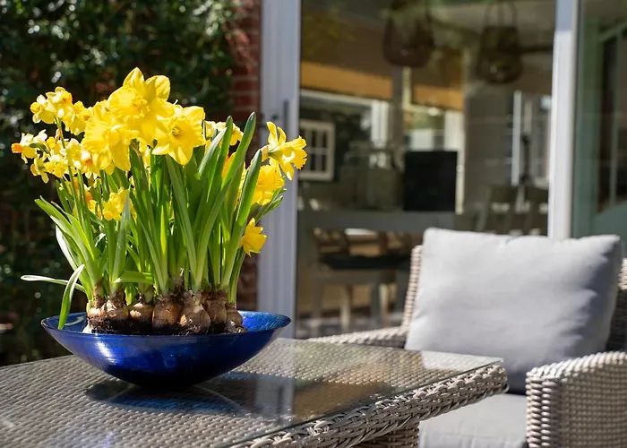 -duna Lago- Nabij Het Meer, Restaurants En Keukenhof Noordwijkerhout